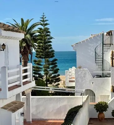 a white house with a palm tree and the ocean at Complejo Atlantico in Novo Sancti Petri