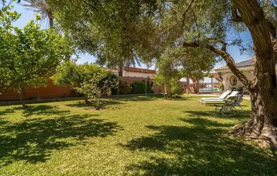 a park with a bench and a tree at Stunning Home In Conil De La Frontera in Conil de la Frontera