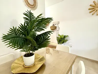 a plant in a white vase sitting on a table at Mi sueño free parking by staycare in Rota