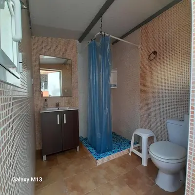 a bathroom with a blue shower curtain and a toilet at la petit in Chiclana de la Frontera