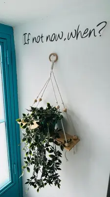 a plant hanging from a wall with the words if not now when at Precioso Apartamento Centro Jerez in Jerez de la Frontera