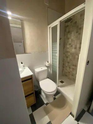 a bathroom with a toilet and a sink and a shower at Apartamento Moraito Chico in Jerez de la Frontera