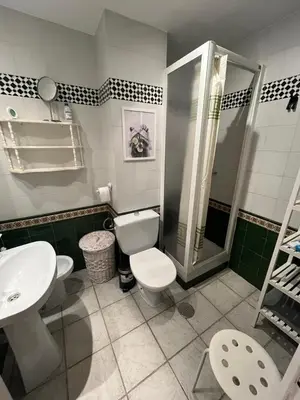 a bathroom with a toilet and a shower and a sink at Frente al Mar, Tu Refugio Ideal in Novo Sancti Petri