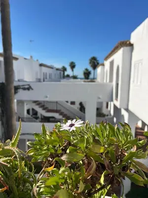 a bush with a flower in front of a building at Frente al Mar, Tu Refugio Ideal in Novo Sancti Petri