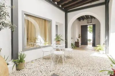 a room with chairs and plants on the floor at Mar Abierto B in Sanlúcar de Barrameda