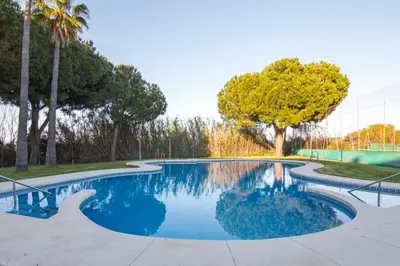 a swimming pool with blue water and palm trees at Brisa del Mar II, Apartamentos Living Sur in Sanlúcar de Barrameda