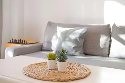 a table with two potted plants on top of it at Brisa del Mar II, Apartamentos Living Sur in Sanlúcar de Barrameda