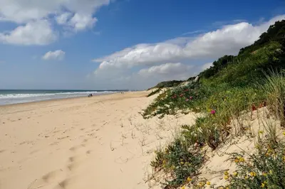 a sandy beach with people walking on the ocean at PASSIVE HOUSE in Novo Sancti Petri