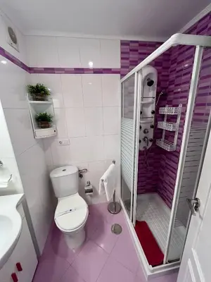a bathroom with a toilet and a walk in shower at GATU Villa Flavia 