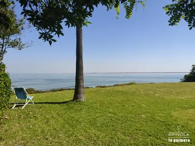 a chair sitting under a tree in a field at Spinola Beachfront Bungalows - Apartamentos bungalow en primera linea de playa en Sanlúcar de Barrameda in Sanlúcar de Barrameda