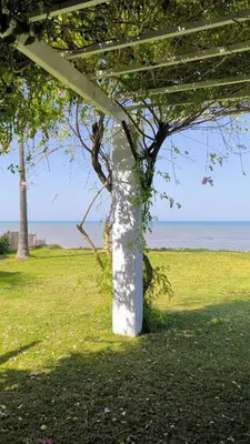 a white structure sitting in a field next to a tree at Spinola Beachfront Bungalows - Apartamentos bungalow en primera linea de playa en Sanlúcar de Barrameda in Sanlúcar de Barrameda