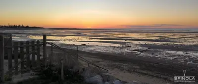 a sunset on the beach with birds in the sand at Spinola Beachfront Bungalows - Apartamentos bungalow en primera linea de playa en Sanlúcar de Barrameda in Sanlúcar de Barrameda
