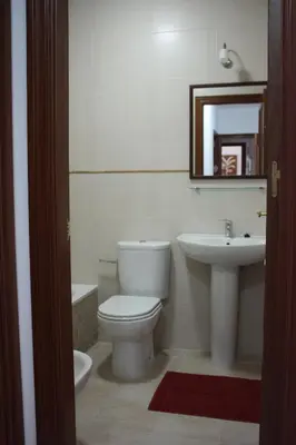 a bathroom with a toilet and a sink and a mirror at Apartamento Centro Plaza del Cabildo in Sanlúcar de Barrameda