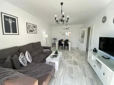 a living room with a couch and a tv at Apartamento Baluarte in Sanlúcar de Barrameda