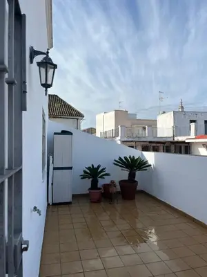 a balcony with potted plants and a white wall at Ático de Marta, Pleno Centro-Terraza 34m2 in Sanlúcar de Barrameda