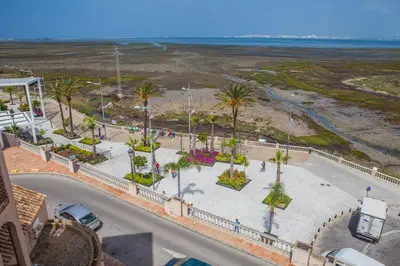 an aerial view of a beach with palm trees at Estudios Turísticos Bahia Sur in San Fernando