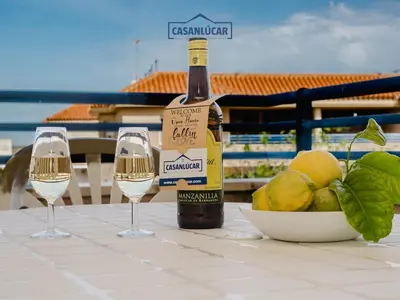 a bottle of wine and two glasses on a table at Piso Real Fernando in Sanlúcar de Barrameda