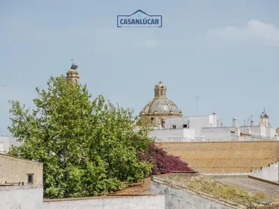 a view from the roof of a building with a tree at Casa Puerto Lucero in Sanlúcar de Barrameda