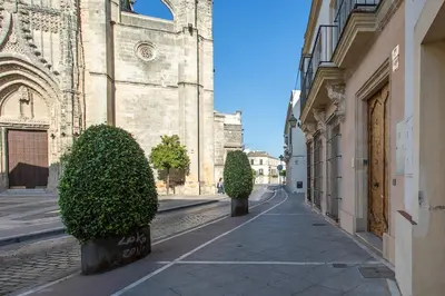 an empty street with two bushes in front of a building at Taina La Merced Suite in Jerez de la Frontera