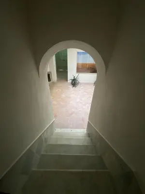 a hallway with an archway with a plant in the middle at Taina Suite La Merced Primero Muro in Jerez de la Frontera