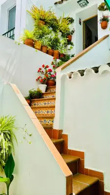 a stair case with potted plants on it at Casa Nieves, totalmente equipada Planta 2 in Arcos de la Frontera