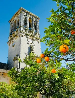 a clock tower with an orange tree in front of it at Casa Nieves, totalmente equipada Planta 2 in Arcos de la Frontera