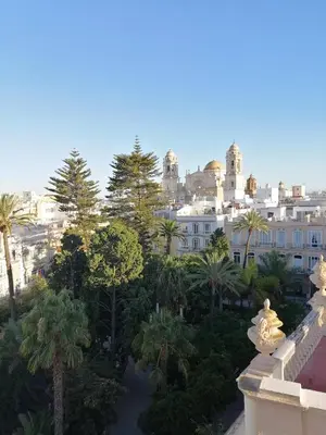 a view of a city with palm trees and buildings at Candelaria cornerflat in Cádiz