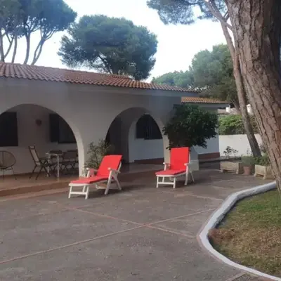Pinos Verdes