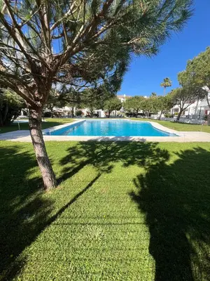 a tree in the grass next to a swimming pool at Apartamento Maracaibo in Novo Sancti Petri