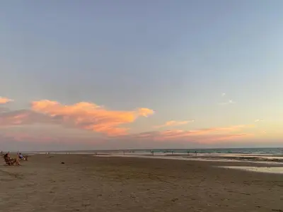 a beach with people and dogs on the sand at Costa ballena en primera linea in Costa Ballena