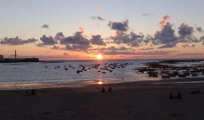 a sunset on the beach with birds in the water at ALBA Apartment by Cadiz4Rentals in Cádiz
