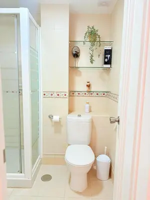 a bathroom with a toilet and a shower at Frente al Mar in Novo Sancti Petri