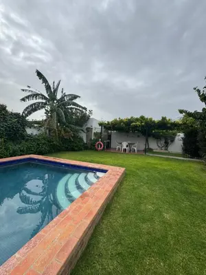 a backyard with a swimming pool and a lawn at Viangel 2 in Conil de la Frontera