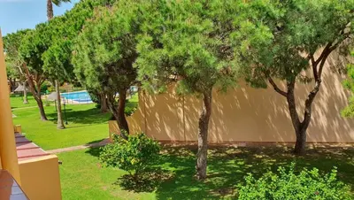 a group of trees in a yard next to a wall at Amplio apart con Wifi y Aire Acondicionado a 500 m de la playa La Barrosa in Chiclana de la Frontera