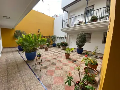a courtyard with potted plants in a building at Casa Lotte, centro histórico,AC, garaje, wifi in Sanlúcar de Barrameda