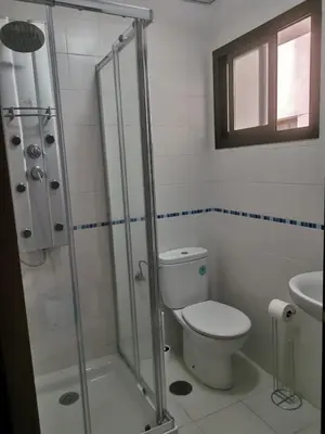 a bathroom with a shower and a toilet and a sink at Apartamento Edificio Carruaje in Jerez de la Frontera