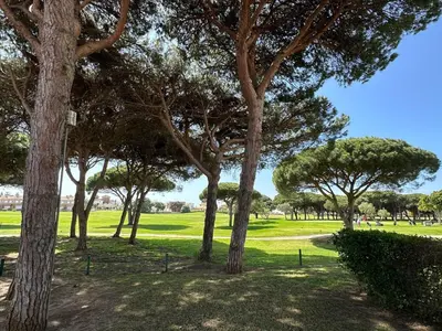 a group of trees in a park with grass at Chalet adosado en Novo Sancti Petri in Cádiz