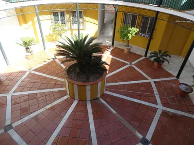 a courtyard with a potted plant on a tile floor at Apartamento Capillera 9 in El Puerto de Santa María