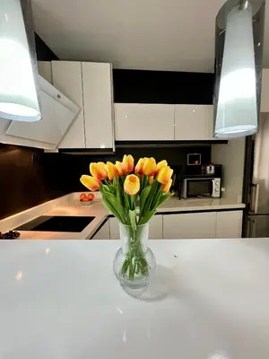 a vase of flowers sitting on a counter in a kitchen at GATU Alquiladores 