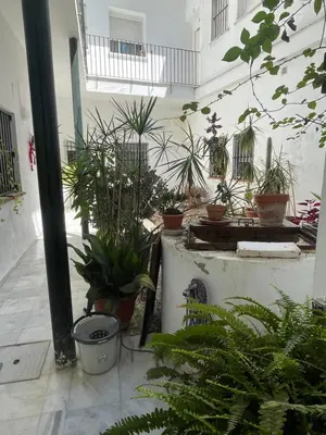 a courtyard with potted plants in a building at Jardines de Santa María - Parking gratis in Jerez de la Frontera