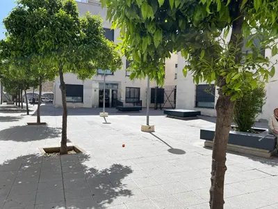 a courtyard with trees in front of a building at Apartamento Jerez in Jerez de la Frontera