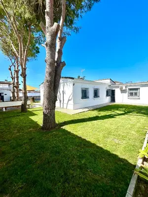 a white house with a tree in the yard at GATU Villa Serena piscina privada mayores de 25 años y familias in Chiclana de la Frontera