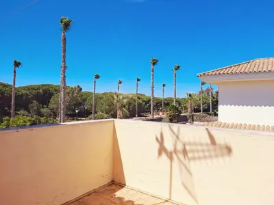 a fence with palm trees in the background at Chalet Loma de Sanctipetri in Chiclana de la Frontera