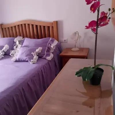 Apartamento Acogedor Centro Playa 2habtn