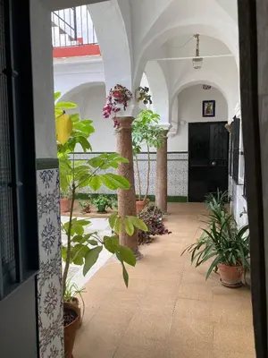 a hallway with potted plants in a building at Charming 1900 Andalusian Apartment in Arcos de la Frontera in Arcos de la Frontera