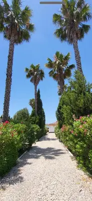 a gravel road with palm trees and flowers at Jardines Fenicios Luxurious and Spacious Villa in Novo Sancti Petri