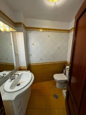 a bathroom with a sink and a toilet at Velo de Flor Jerez Apartment in Jerez de la Frontera