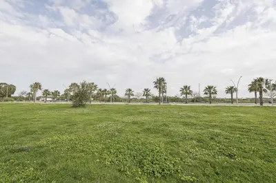a large grass field with palm trees in the background at Apartamento Tom-Isi in Rota