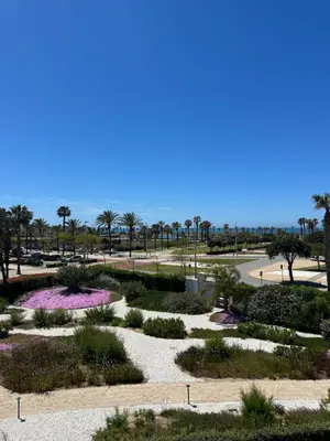 a park with purple plants and trees and a road at Eleven Views in Chipiona