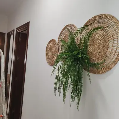 a plant is hanging on a wall at Casa Álamo in Puerto Real